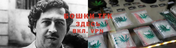 PSILOCYBIN Семёнов