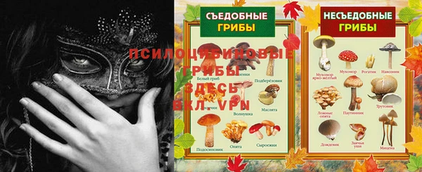 герыч Снежногорск
